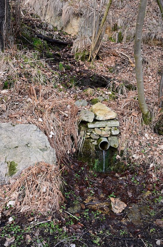 studánka bez jména (9486) - březen 2015