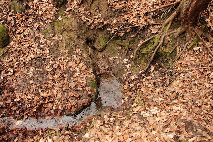 studánka Pod Korábkem (9498) - březen 2015