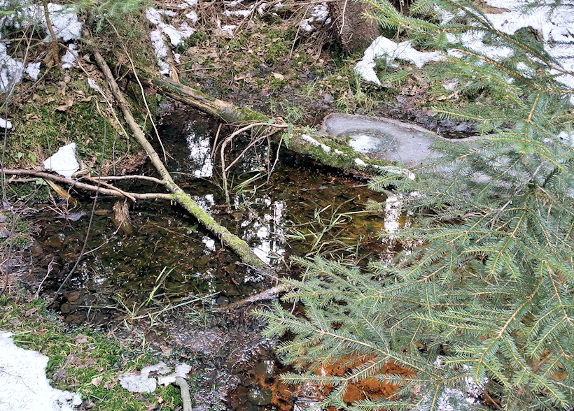 studánka U brodu (9510) - březen 2015