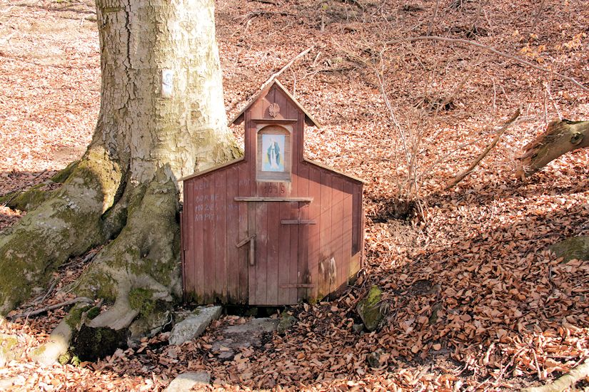 studánka Prusinovka (9515) - březen 2015