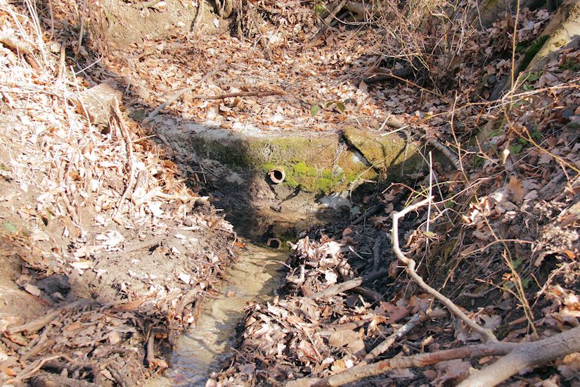 studánka Pod Mramůrkou (9518) - březen 2015