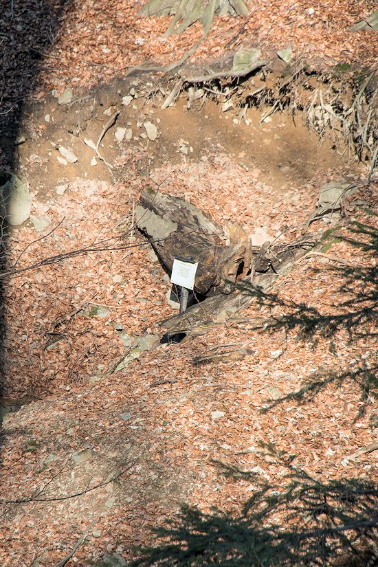 studánka Vápenice (9519) - březen 2015