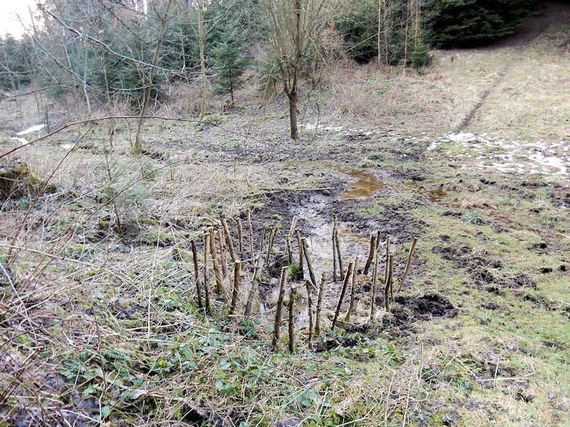 studánka V Pustinském (9520) - březen 2015