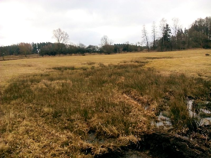 prameniště Na holišti (9526) - březen 2015