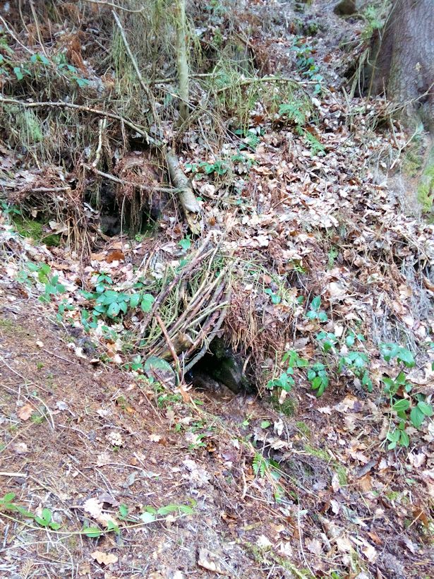studánka Pod krmelcem (9529) - březen 2015