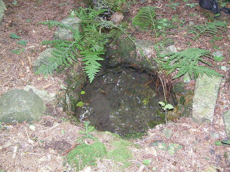 studánka U Pacherova mlýna (9559) - březen 2015
