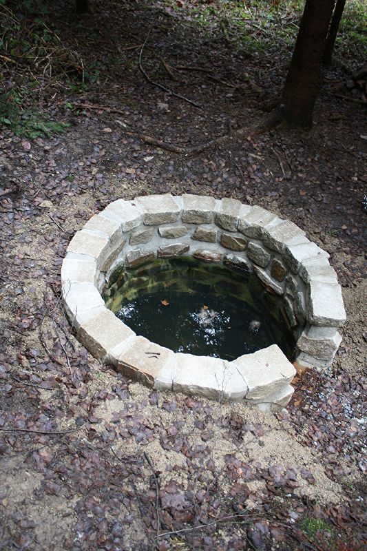 studánka V Černém lese (9561) - datum neznámé