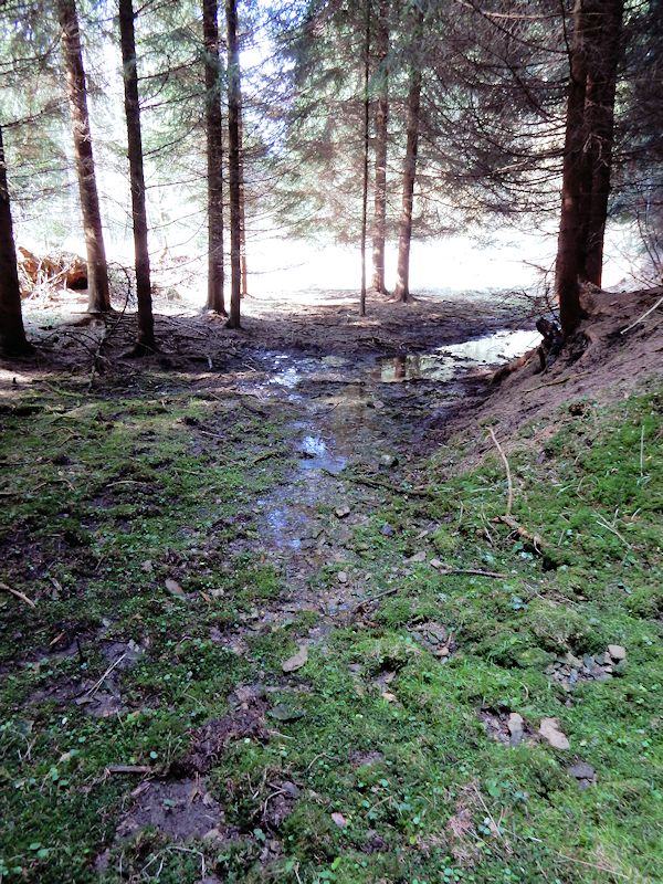 prameniště Mezi žleby (9570) - březen 2015