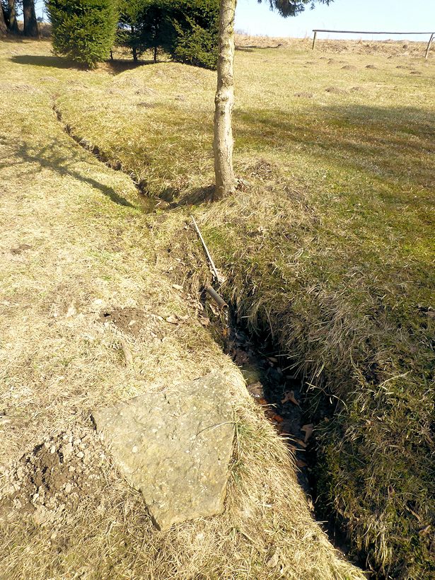 studánka Na Biskupské cestě (9574) - březen 2015