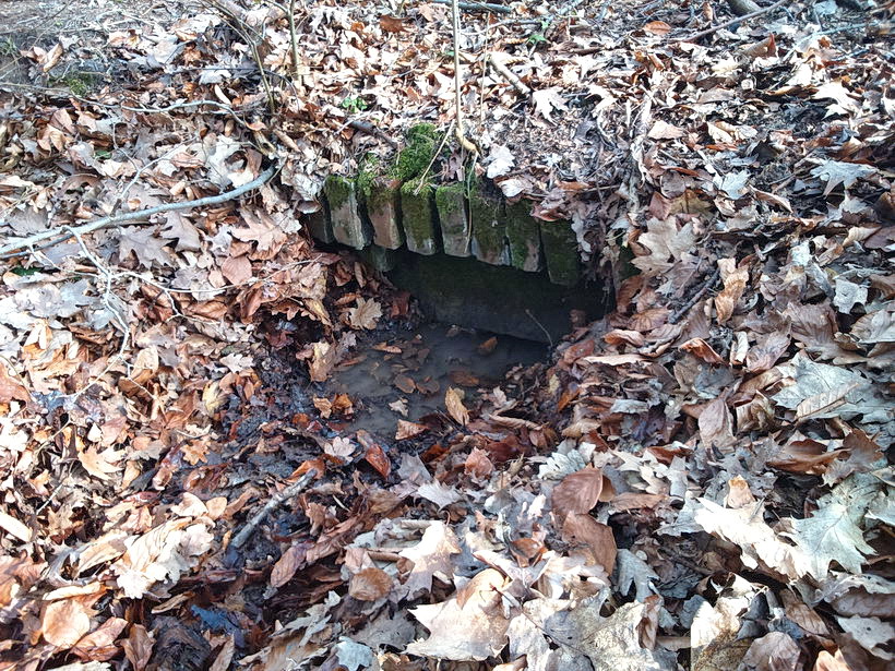 studánka bez jména (9578) - březen 2015