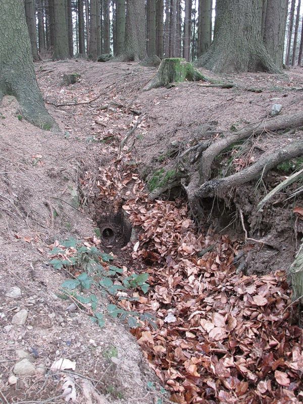 studánka Vodačka (9580) - březen 2015
