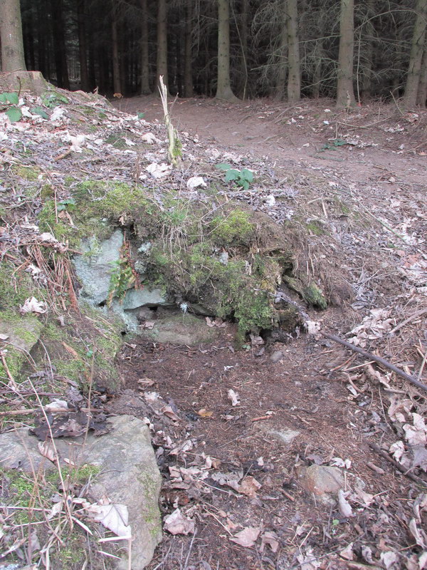 studánka Pod Smrťákem (9581) - březen 2015