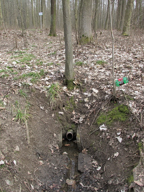 studánka Na Letné (9582) - březen 2015