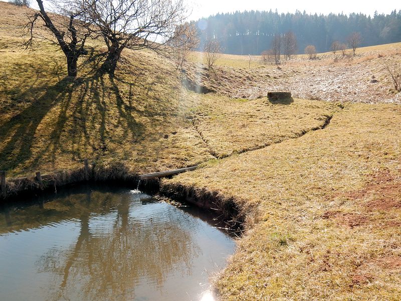 pramen Nad rybníčkem (9584) - březen 2015