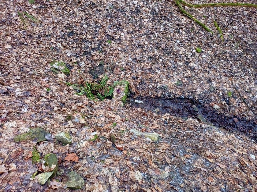 studánka Libušina (9593) - leden 2024