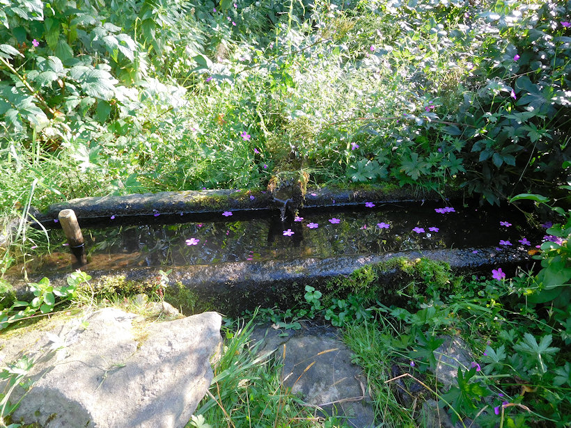 studánka U Lejsků (9614) - datum neznámé