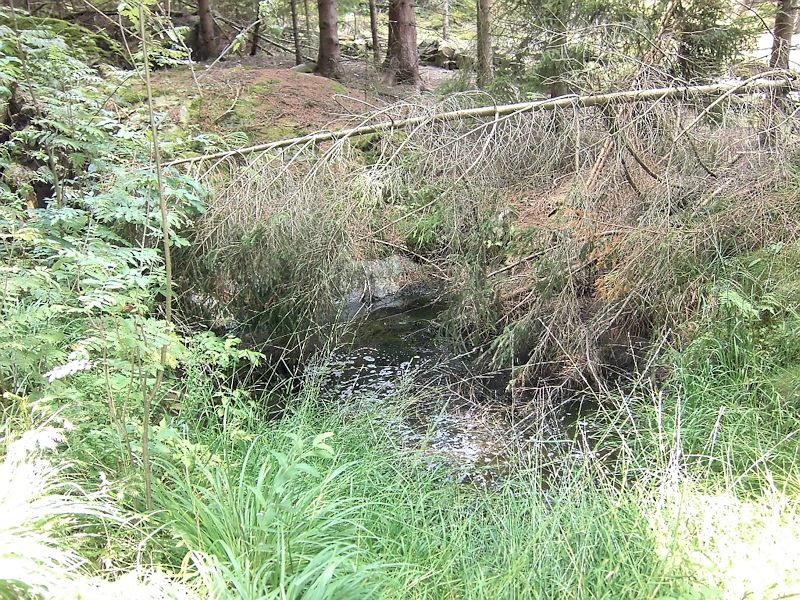 studánka Pod Sedlem (9615) - duben 2015
