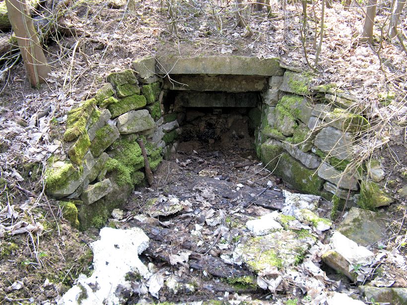 studánka U Zdounecké střelnice (9620) - duben 2015