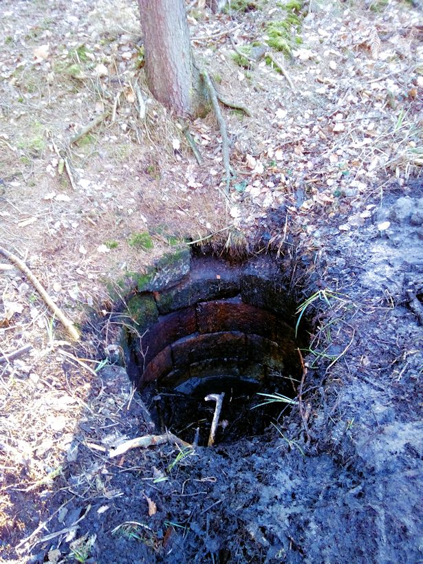 studánka U Hájovny (9636) - duben 2015