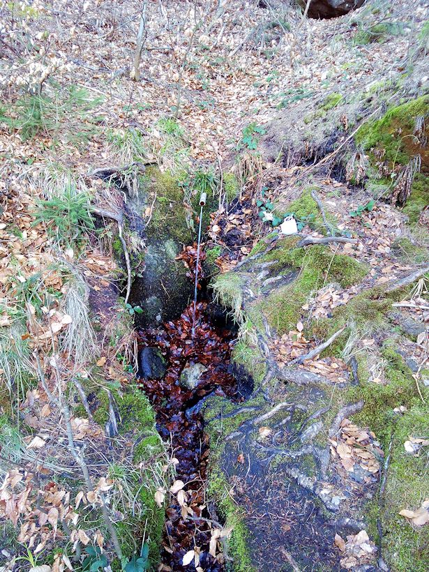 studánka Letitá (9638) - duben 2015