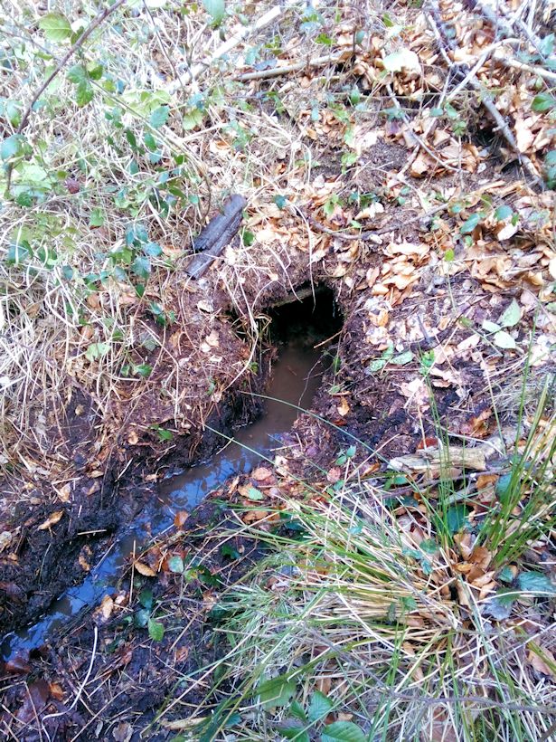 studánka V Laholi (9639) - duben 2015