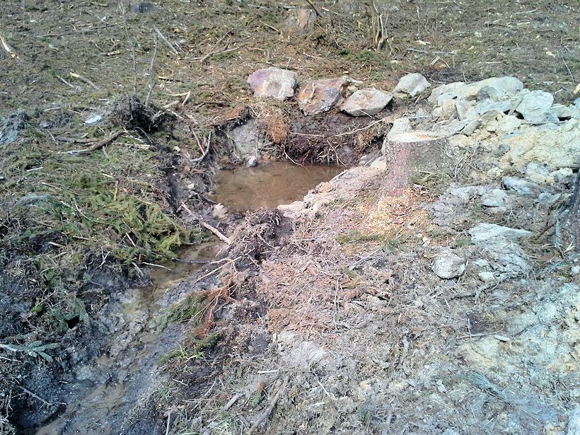 studánka Vráž (9641) - duben 2015