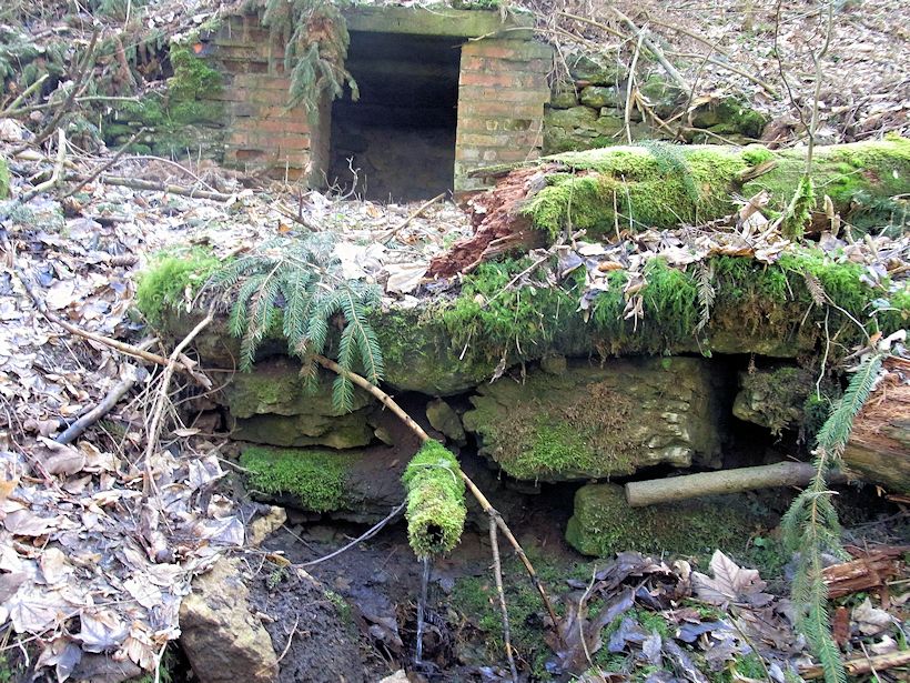 studánka U Padařovic (9658) - duben 2015