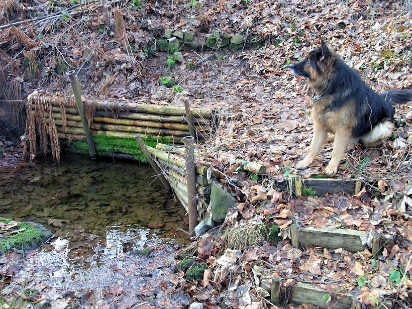 studánka U Bystré (9667) - duben 2015