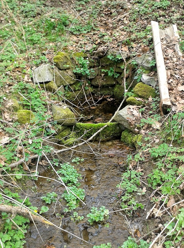 studánka Na Bělici (9694) - duben 2015