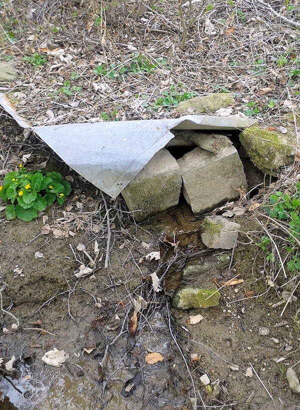 studánka Na Mostovně (9697) - duben 2015