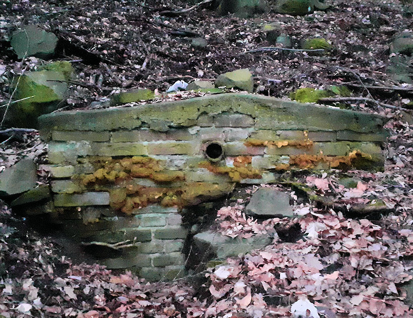 studánka Nad Vaňovem (9720) - duben 2015
