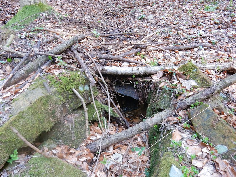 jiný vodní zdroj Boršovská studna 2  (9725) - duben 2015