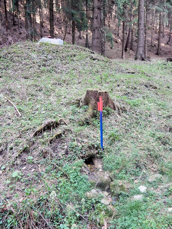 jiný vodní zdroj Boršovská studna 5 (9728) - duben 2015