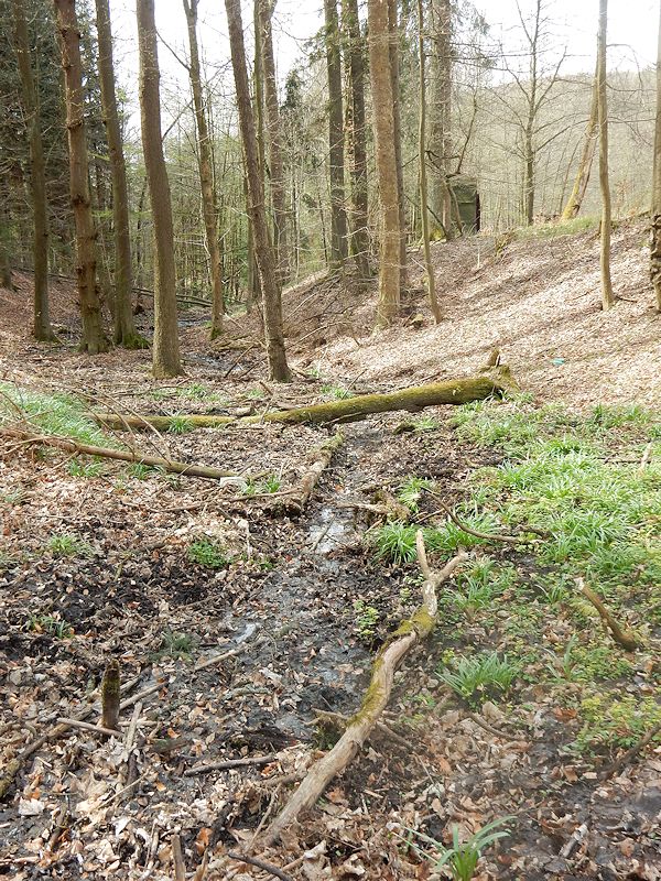 pramen Nad Německými loukami (9732) - duben 2015