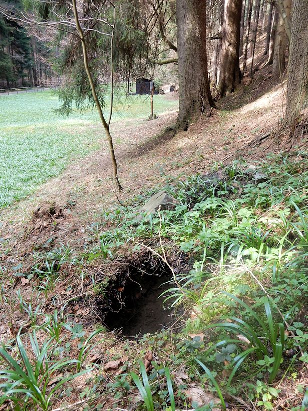 studánka Ohio (9735) - duben 2015