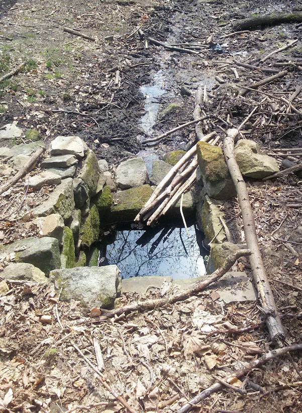 studánka Pod Kuželkem (9739) - květen 2015
