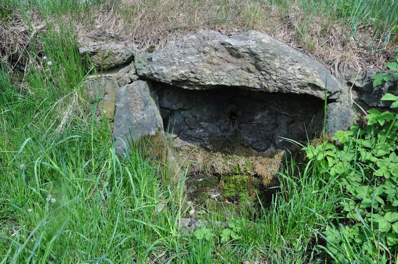 studánka U břízy (9761) - květen 2015
