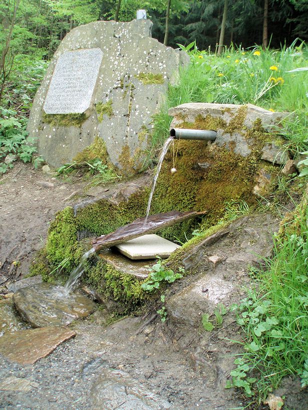 studánka U Libuňského splavu (9769) - červen 2021