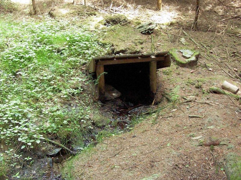 Keltská studánka (9780) - květen 2015