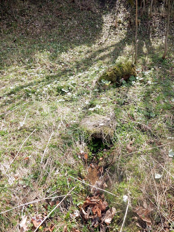 studánka Pod lomem (9786) - květen 2015