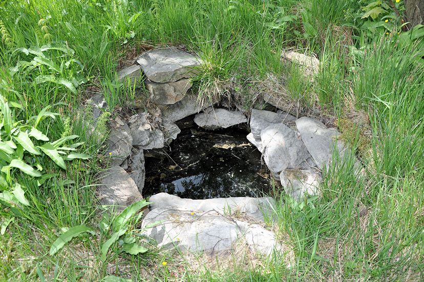Luční studánka (9805) - květen 2015