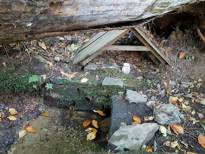 studánka bez jména (9830) - říjen 2022