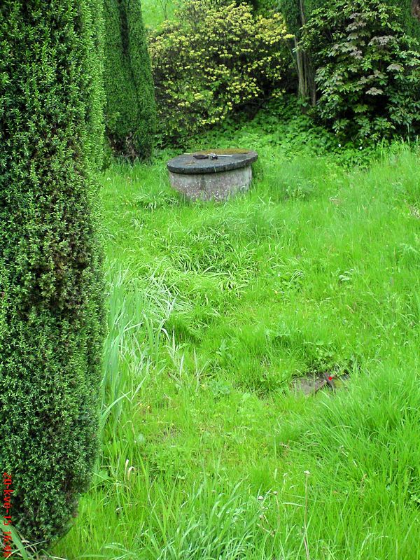 Máchova studánka (9831) - květen 2015