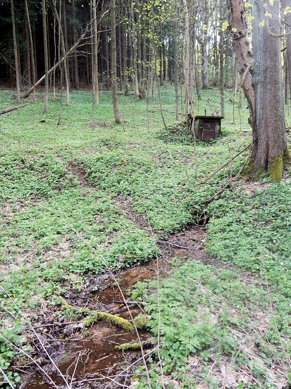 pramen Pod silnicí (9844) - květen 2015