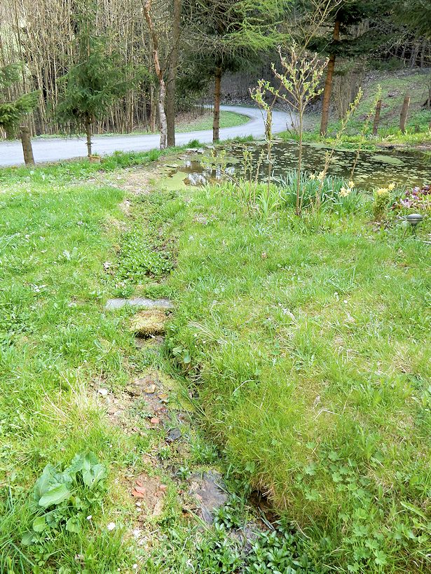 pramen Nad rybníčkem (9846) - květen 2015