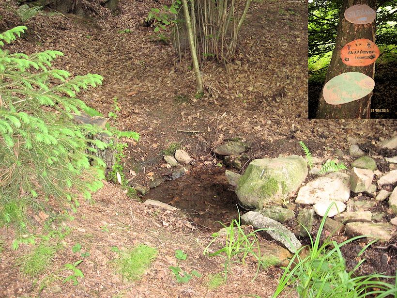 studánka Za Slavíkovou loukou (9852) - květen 2015