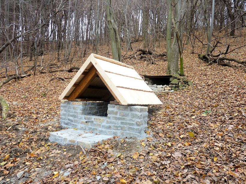 studánka Pod Kocůrkama (9860) - květen 2015