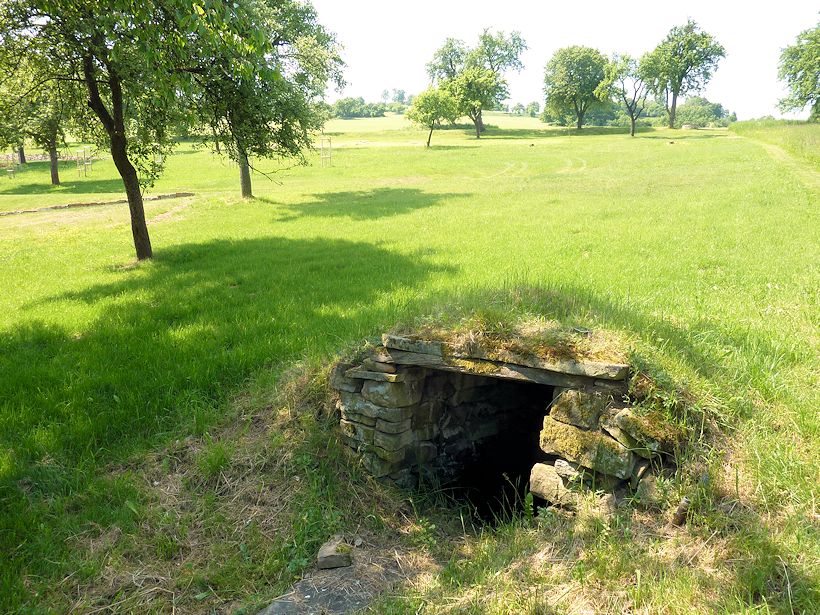 studánka U Ševčíků (9863) - květen 2015
