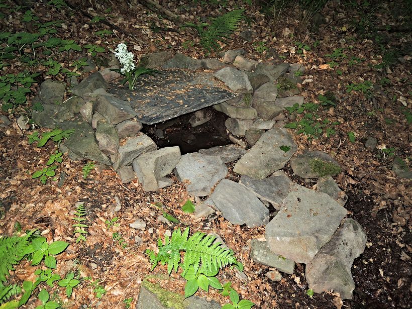 studánka U česneku (9868) - datum neznámé