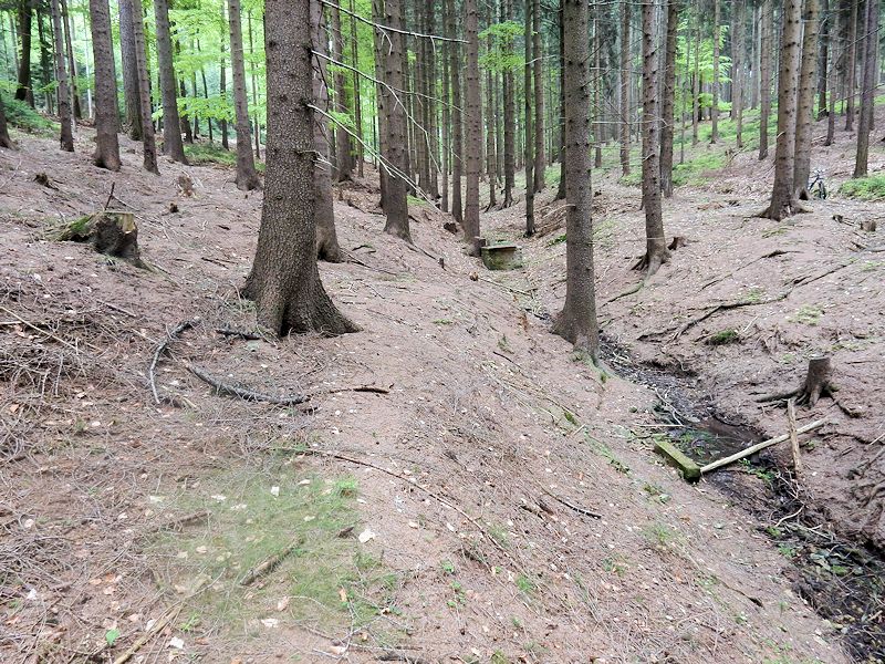 studánka Bílý potok (9870) - červen 2015